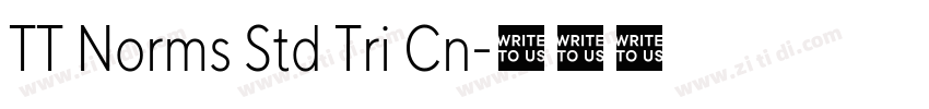 TT Norms Std Tri Cn字体转换